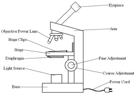 Free Microscope Drawing, Download Free Microscope Drawing png images ...