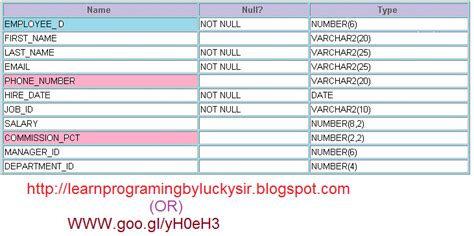 Learnprograming byluckysir: Oracle Data Types with Examples