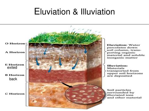 PPT - Weathering and Soils PowerPoint Presentation, free download - ID:1356818