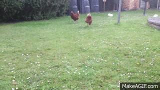 Chicken Run on Make a GIF