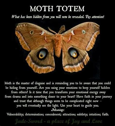 What Do Moth Tattoos Symbolize - Design Talk