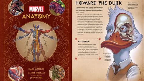 MARVEL ANATOMY Book Illustrates the Science of Superhuman Abilities - Nerdist