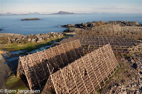 Lofoten images by Bjørn Jørgensen