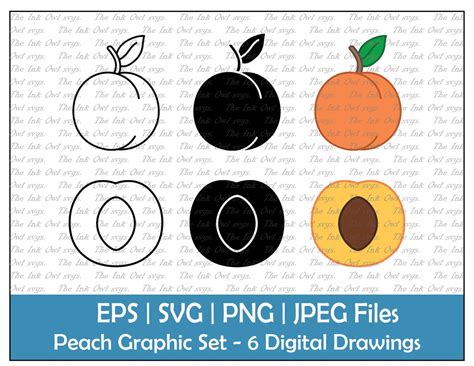 Peach Vector Clipart / Outline & Stamp Drawing Graphic / Fruit - Etsy