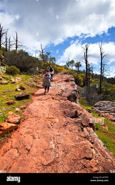 Mother child walking hiking hike wangarra lookout trail wilpena pound hi-res stock photography ...