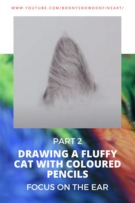 Drawing a Fluffy Cat with Coloured Pencils - Part 2