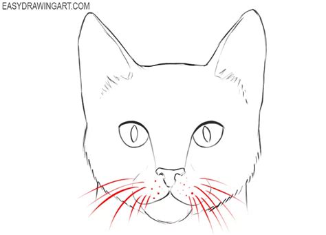 How to Draw a Cat Face - Easy Drawing Art