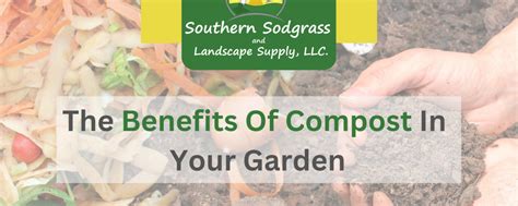 What Are The Benefits Of Compost In Your Garden?