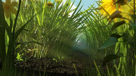 Grass field - Finished Projects - Blender Artists Community