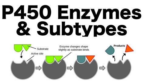 Enzyme Inhibitors