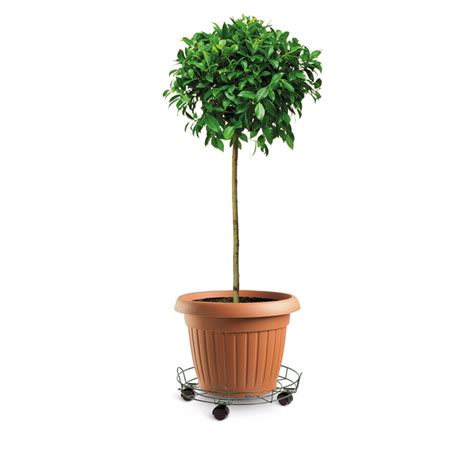 Eden 40cm Round Pot Plant Trolley With Rails | Bunnings Warehouse