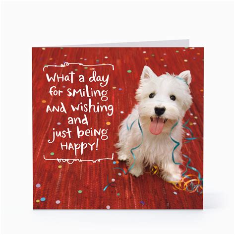 Dog Birthday Card Sayings Smiling Happy Dog Birthday Cards Hallmark Card Pictures | BirthdayBuzz