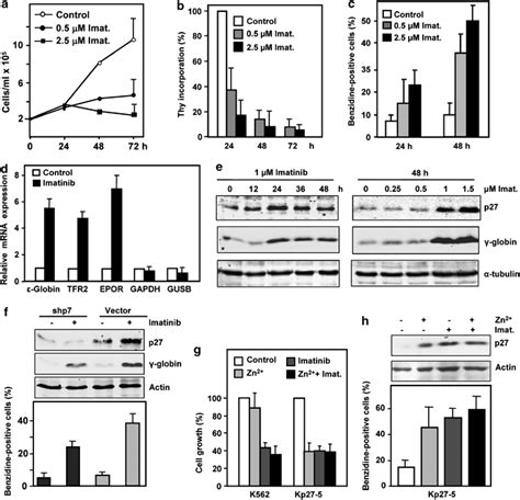 Erythroid differentiation induced by imatinib in K562 cells. (a)... | Download Scientific Diagram