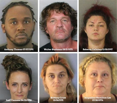 54 arrested in Charlotte County drug sting | WFLA