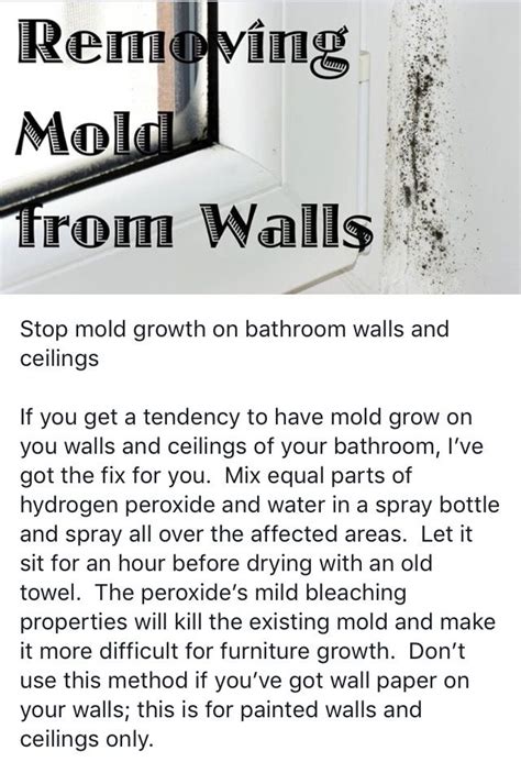 Pin by Marsha Rainey on Remove mold from any fabric | Diy cleaning ...