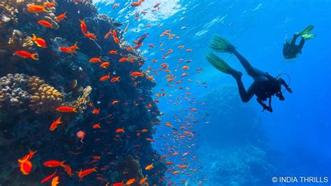 Scuba Diving in Goa | Book Online | Cost - Rs 890 Only