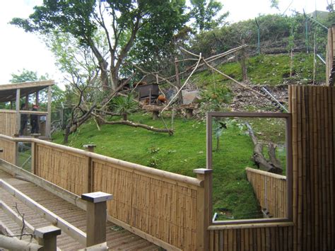 a fenced in area with grass and trees