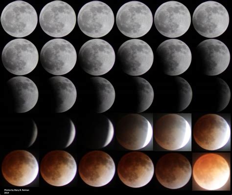 A timelapse of the Lunar Eclipse on April 15, 2014. This was put together by two of our ...