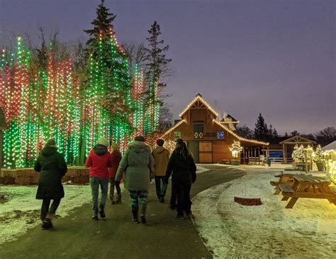 Exciting new Zoo Lights Festival opens in Winnipeg | bdnmb.ca Brandon MB