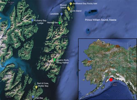 The Never-ending History of Life on a Rock | response.restoration.noaa.gov