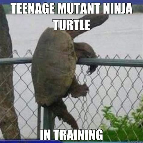 Family Friendly TMNT Memes plus Friday Frivolity