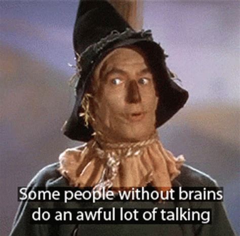 Brains Quote, I Pay, Scarecrow, Animated Gif, Cool Gifs, Amusing, Real Life, Animation, Discover