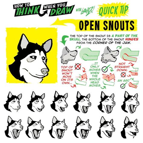 How to THINK when you draw OPEN SNOUTS quick tip! by ...