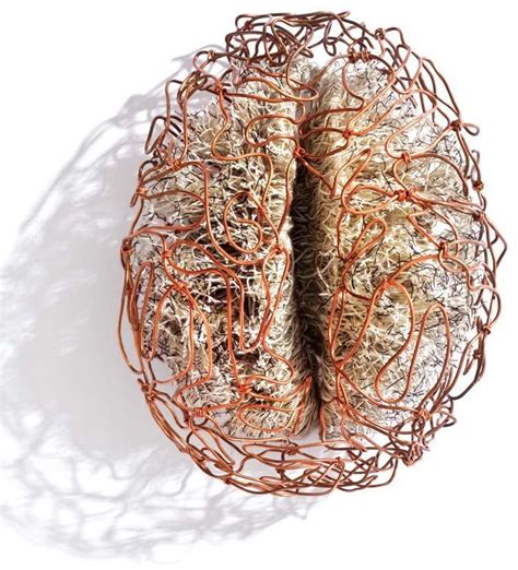 Andrea Pujol Hispano: Brain Sculptures