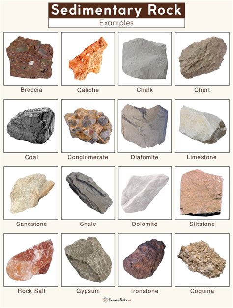 Names Of Sedimentary Rocks