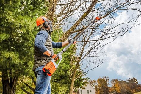 STIHL Battery Pole Pruner HTA 85 - Chenango Supply Company