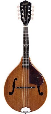 Best Mandolin Brands & Top 7 Beginner Mandolin Reviews 2024