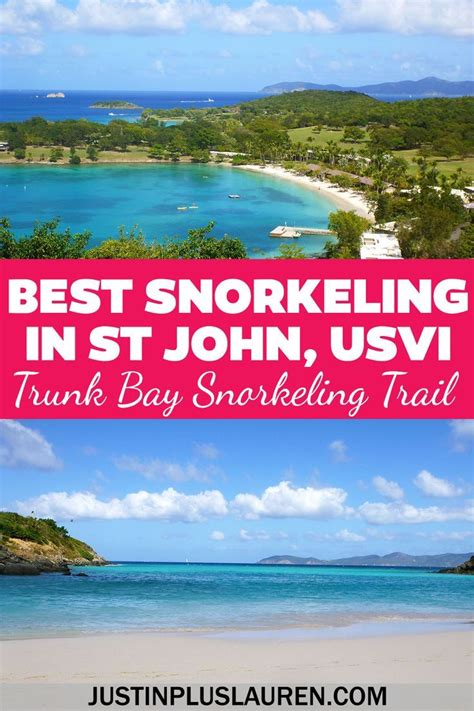 Best snorkeling in st john amazing trunk bay underwater trail – Artofit