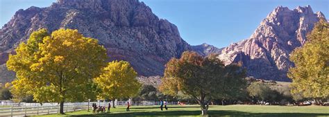 Spring Mountain Ranch State Park, Nevada