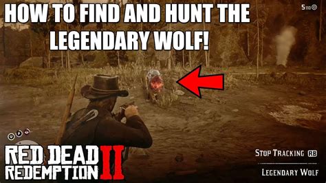 HOW TO FIND AND HUNT THE LEGENDARY WOLF IN RED DEAD REDEMPTION 2 ...