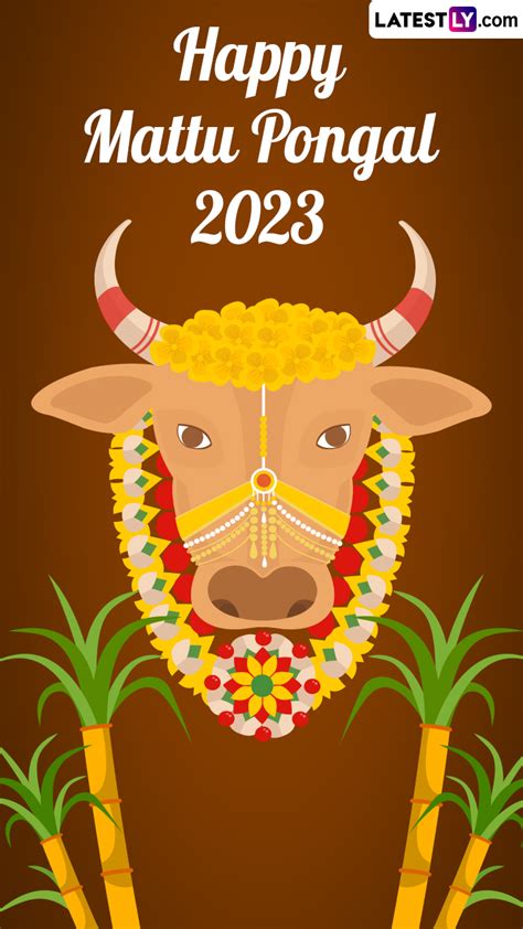 Happy Mattu Pongal 2023 Greetings, Wishes and Messages To Share | 🙏🏻 ...