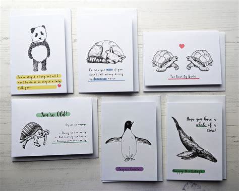 Cute / Funny Animal Cards Greetings Card Set Pack of 6 | Etsy