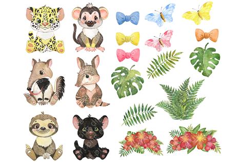 Baby animals clipart. South American animals Safari animals watercolor ...