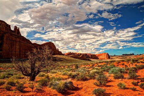 Desert Landscape Wallpaper Hd