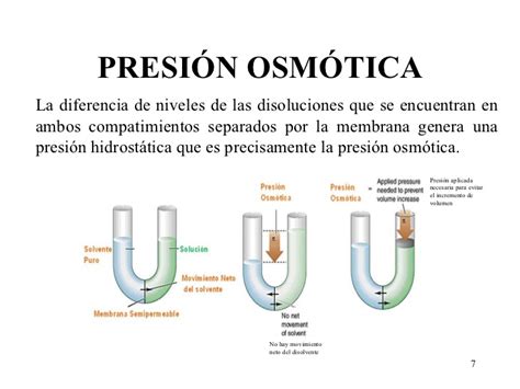 Presión osmótica — WikiSabio