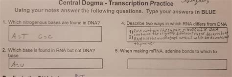 Solved Central Dogma - Transcription Practice Using your | Chegg.com