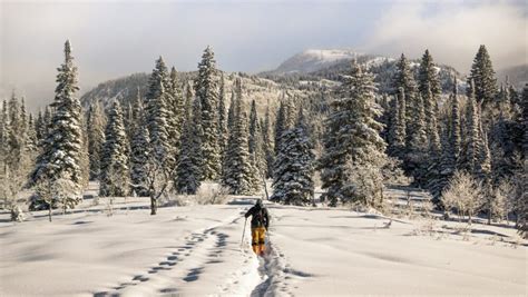 Best Winter Activities for Families in Colorado Springs | Broadmoor Outfitters