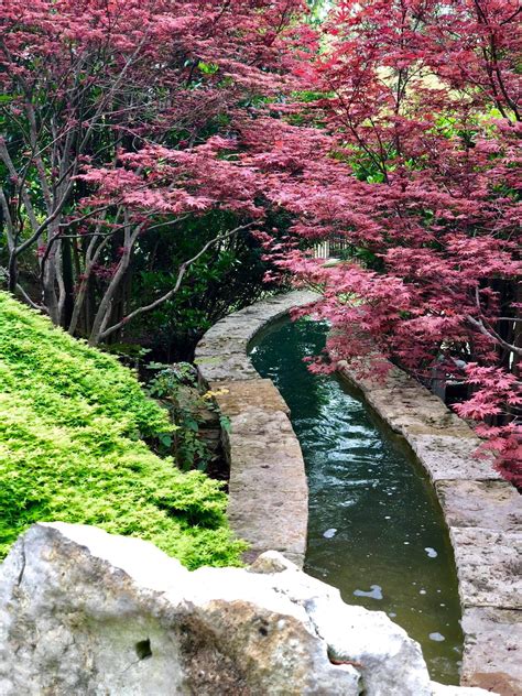 James Visits the Dallas Arboretum and Botanical Gardens | Gulfside ...