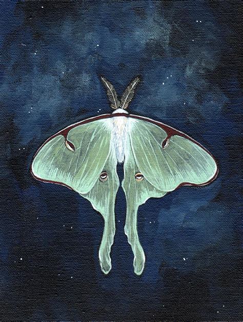 Luna Moth Painting by Susan DiGilio