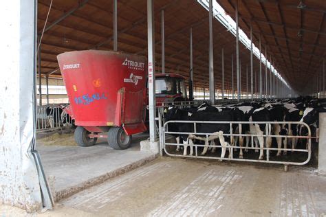 45 Dairy Facilities Design 1 ideas | facility, design, dairy