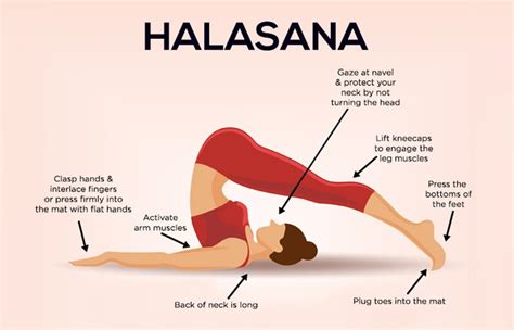 Yoga Poses For Tailbone (Coccyx) Pain - Food N Health