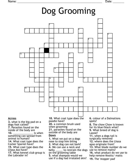 Dog Grooming Crossword - WordMint
