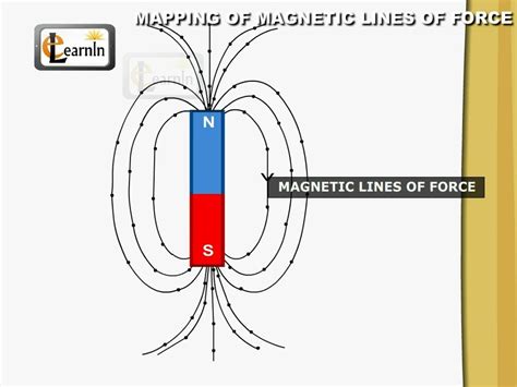 Force Diagram Car Magnet