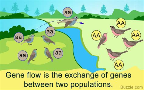 6/1: Evolution: Gene Variation | Science - Quizizz