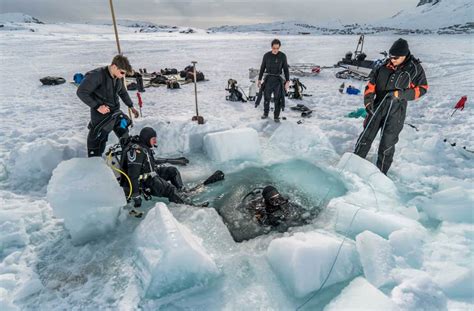 Greenland Winter | Northern Explorers