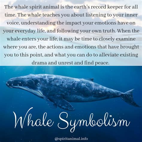 Whales In Dream Meaning - DREAMAIP